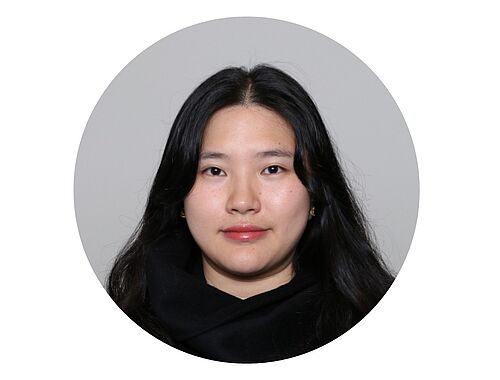 Yuan Feng