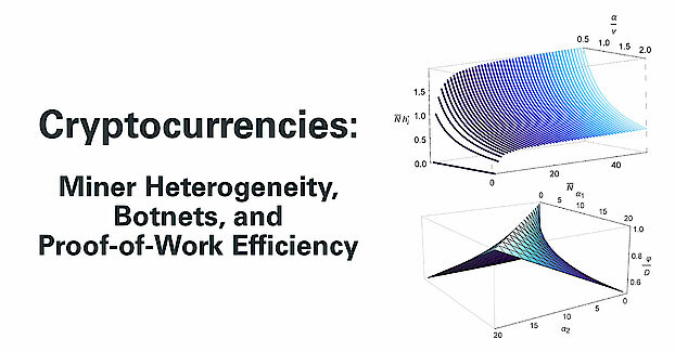 Cryptocurrencies: Miner Heterogeneity, Botnets, and Proof-of-Work Efficiency
